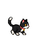 턱시도 고양이 스킨 미리보기
