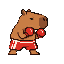 Vista previa del skin Boxer Capy