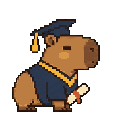 Vista previa del skin Graduate Capy