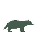 Vista previa del skin Mono Badger