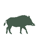 Vista previa del skin Mono Boar