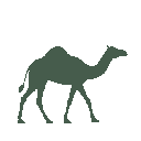 Vista previa del skin Mono Camel