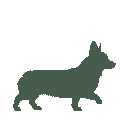 Vista previa del skin Mono Corgi