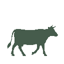 Vista previa del skin Mono Cow
