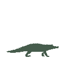 Vista previa del skin Mono Crocodile