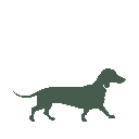 Vista previa del skin Mono Dachshund