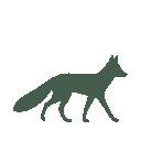 Vista previa del skin Mono Fox