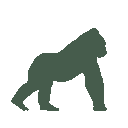 Vista previa del skin Mono Gorilla