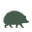 Vista previa del skin Mono Hedgehog