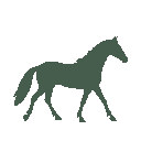 Vista previa del skin Mono Horse