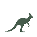 Vista previa del skin Mono Kangaroo