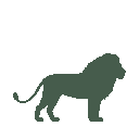 Vista previa del skin Mono Lion