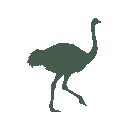 Vista previa del skin Mono Ostrich