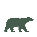 Vista previa del skin Mono Polar Bear