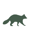 Vista previa del skin Mono Raccoon