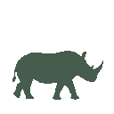 Vista previa del skin Mono Rhino