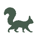 Vista previa del skin Mono Squirrel