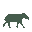 Vista previa del skin Mono Tapir