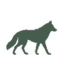 Vista previa del skin Mono Wolf